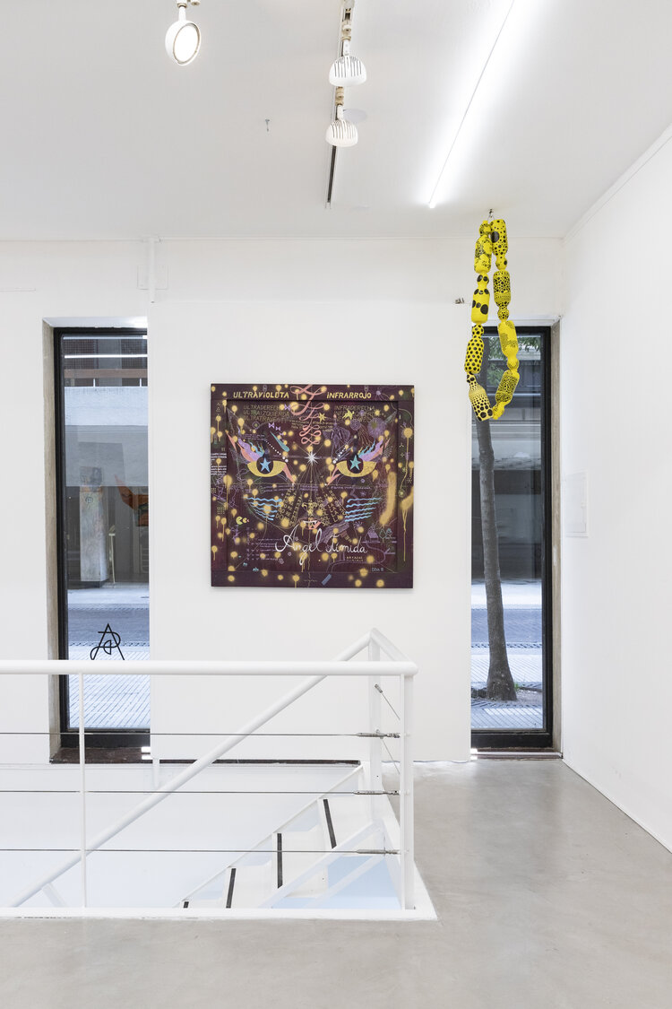 Mi Cuerpo Eléctrico - Obra 1